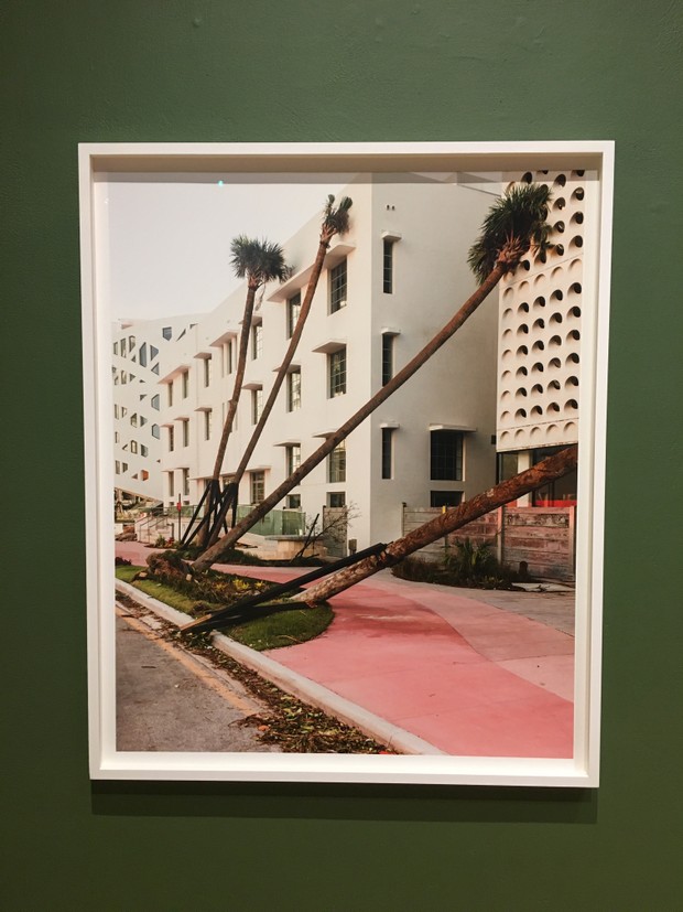 I Saw This Exhibition Anastasia Samoylova S FloodZone At USF