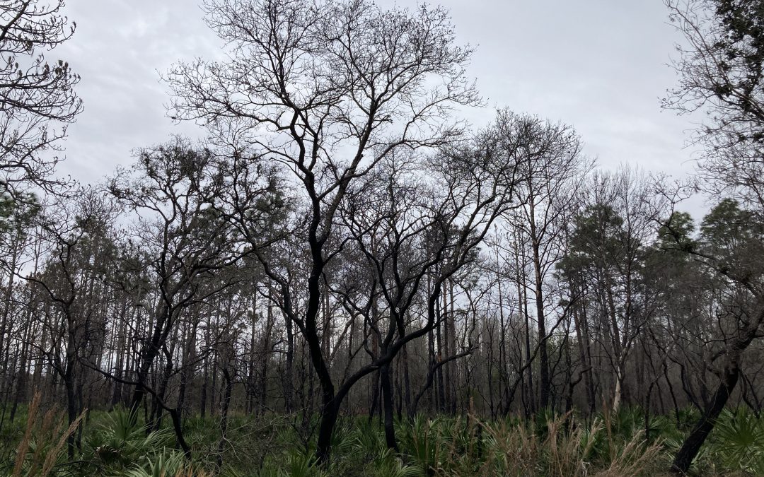 Camping at Starkey Wilderness Park