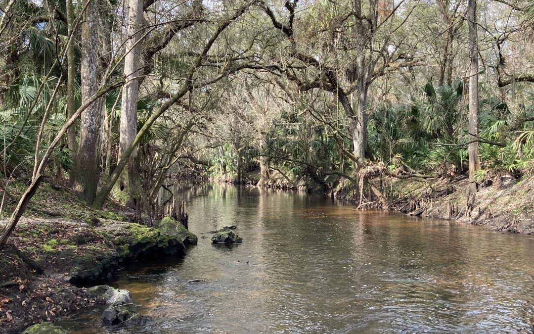 Blackwater Creek Nature Preserve